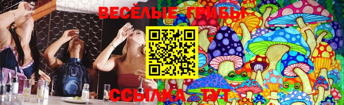 Галлюциногенные грибы мухоморы Сунжа