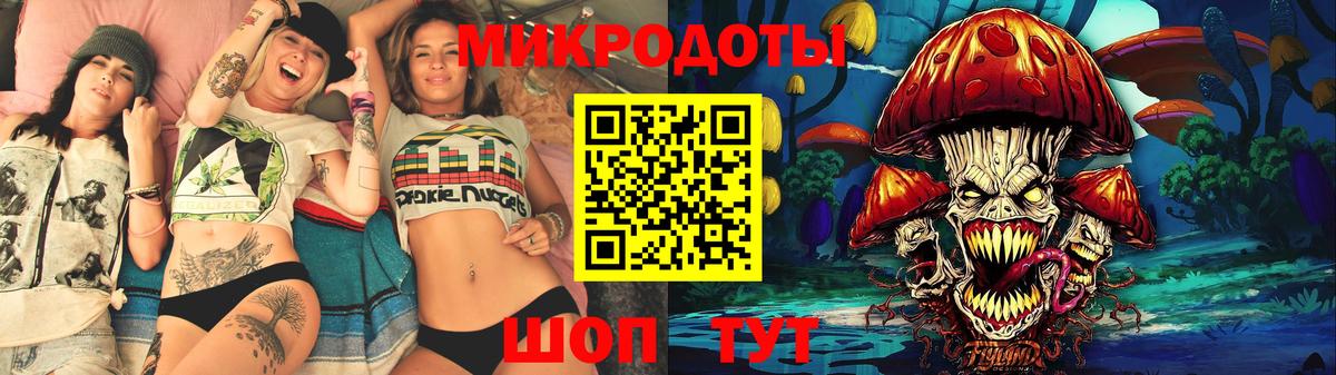 Сунжа  Псилоцибиновые грибы Cubensis  Вход с VPN 